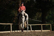 Italy-Tuscany-Dressage Clinic in Tuscany